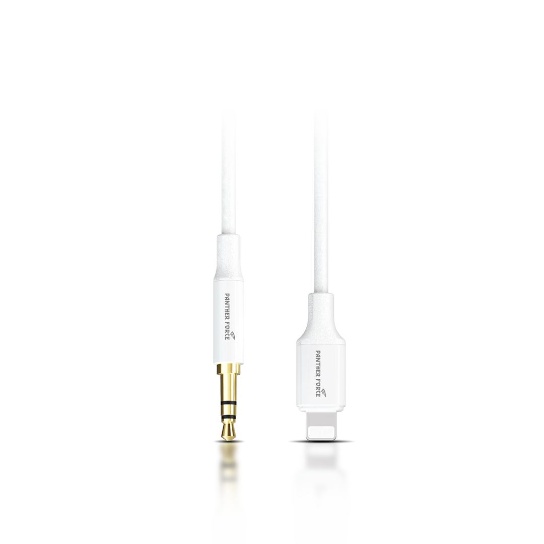 Apple AUX