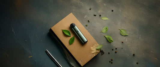 Eco-friendly vape kits: smart choice or greenwashing?