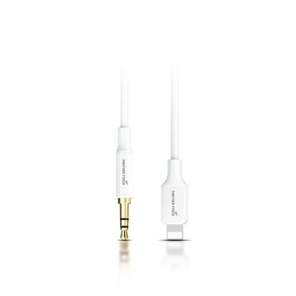 Apple AUX