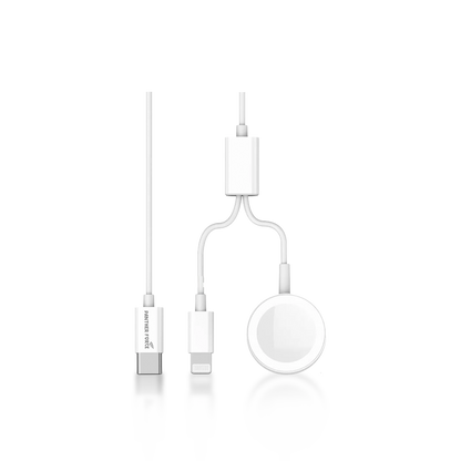 2-in-1 watch charger