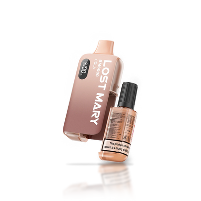 Lost Mary BM6000 disposable vape kit